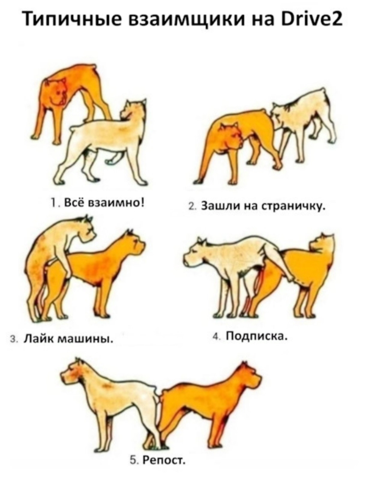 Что Будет Если Собака Сделает Куни