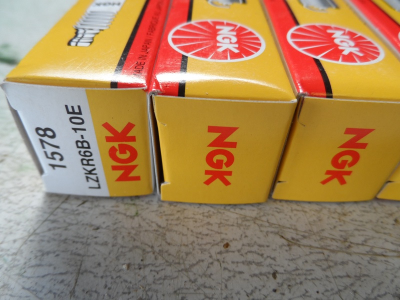 Porn Picture