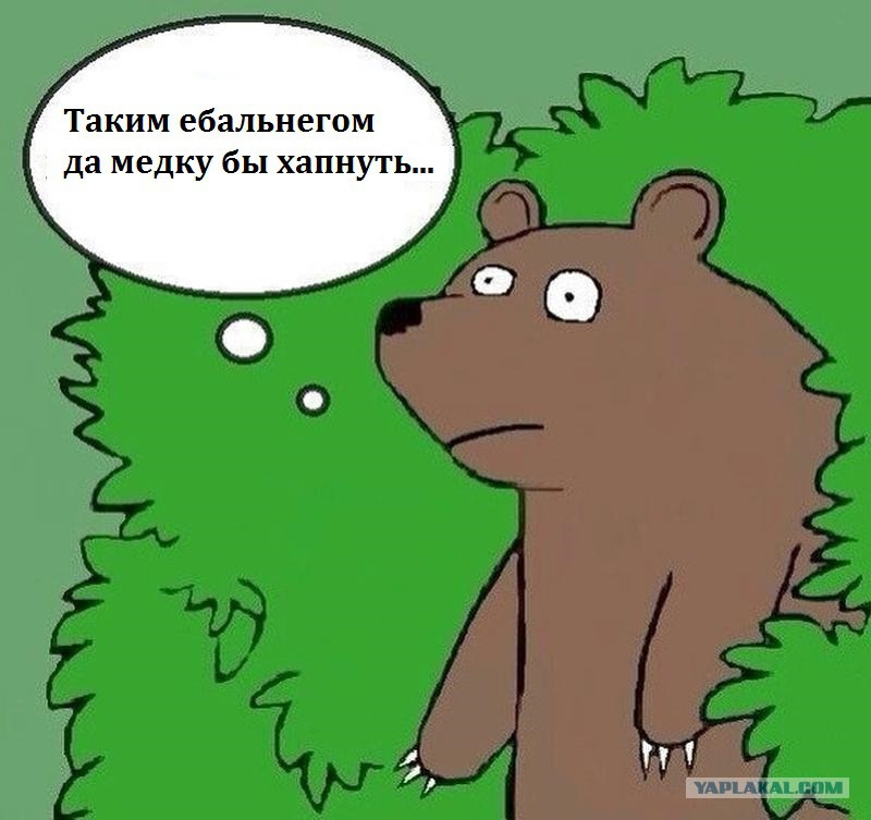 Шлюха Кричит Шлюха Кричит