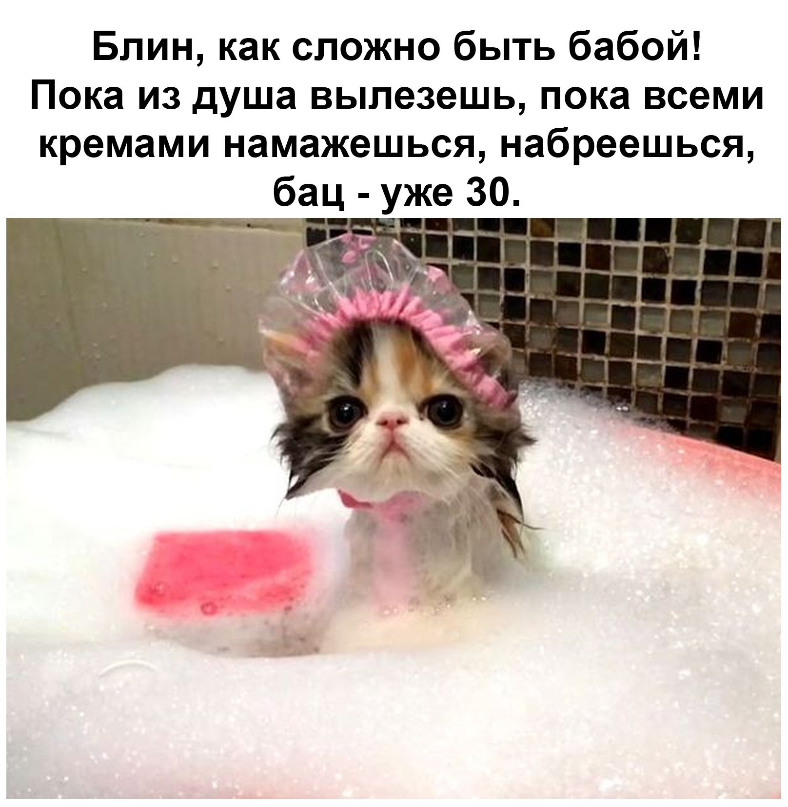 Киска в ванне на фоне моря