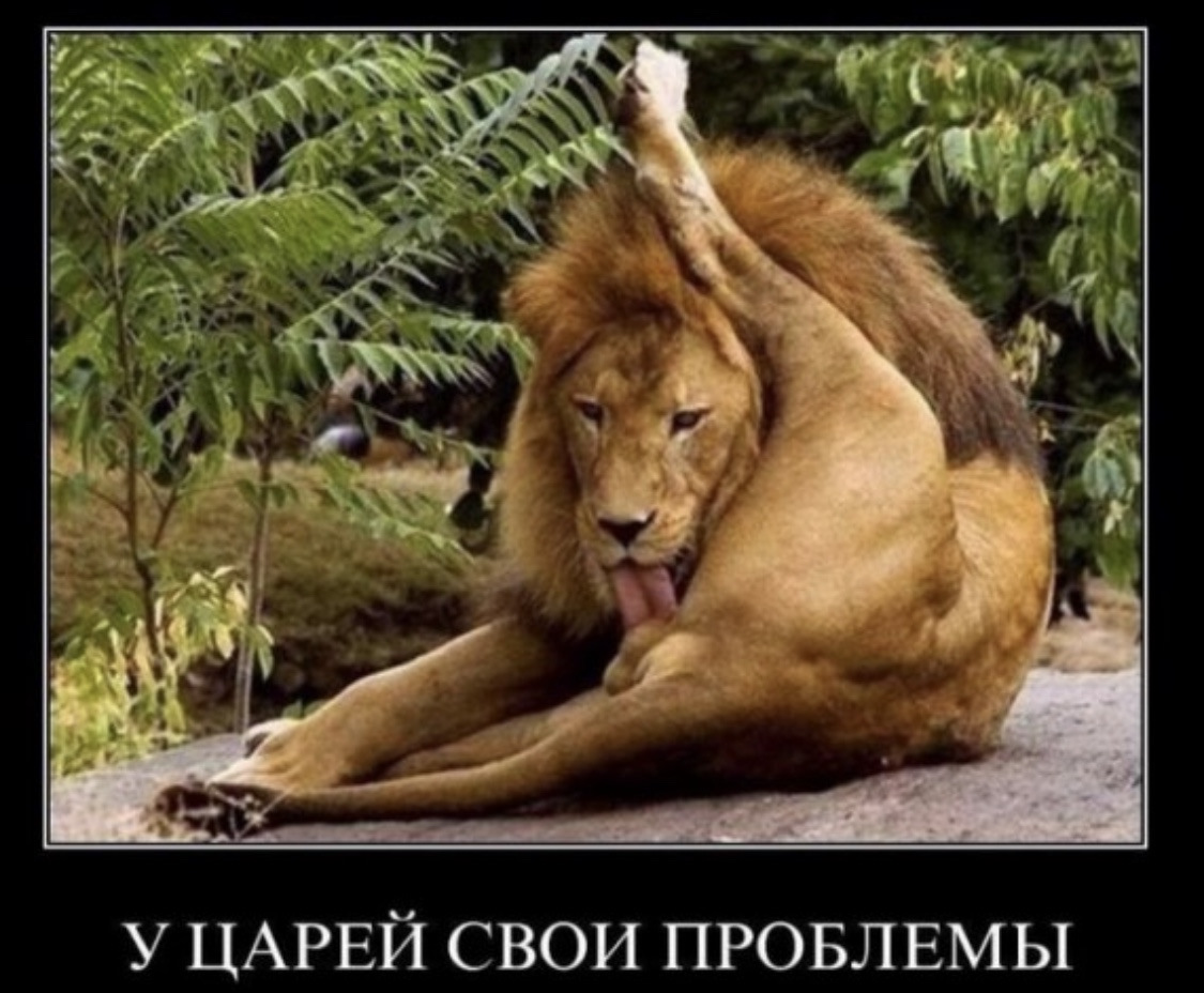Попец которого нам не хватало на экранах