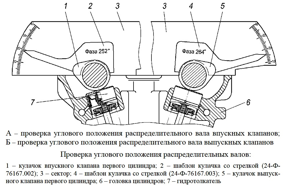 Энергичная шалунья выставила напоказ сногсшибательную щель