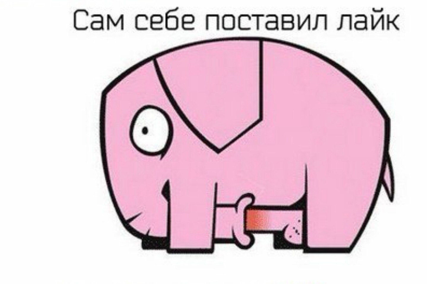 Всегда найдется сучка которая без лишних слов отсосет Всегда найдется сучка которая без лишних слов отсосет